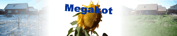 Megakot