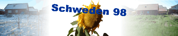 Schweden 98